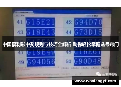 中国福利彩中奖规则与技巧全解析 助你轻松掌握选号窍门