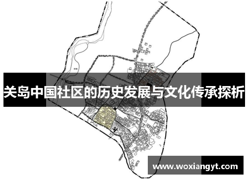 关岛中国社区的历史发展与文化传承探析
