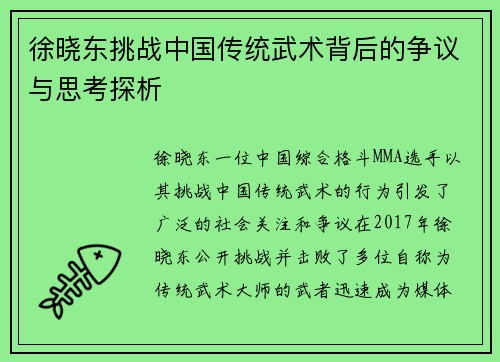 徐晓东挑战中国传统武术背后的争议与思考探析